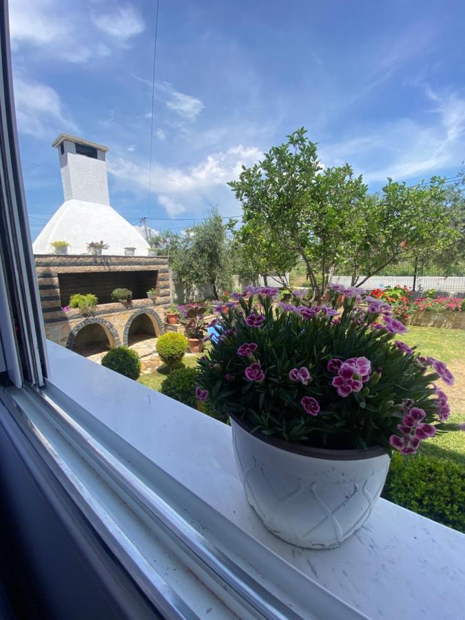 Vlorë Maison Apartments מראה חיצוני תמונה